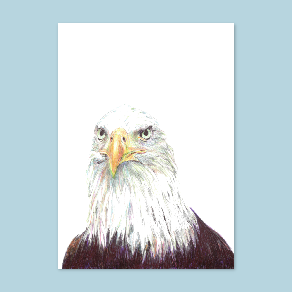 "Adler"