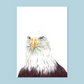 "Adler"